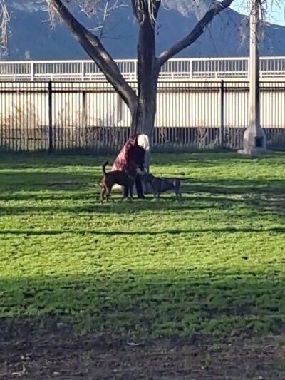 Carlson Park - Riverside, CA