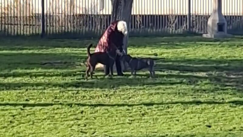 Carlson Park - Riverside, CA