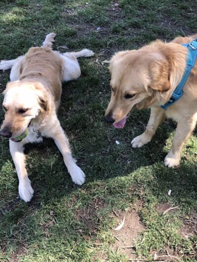 Carlson Park - Riverside, CA