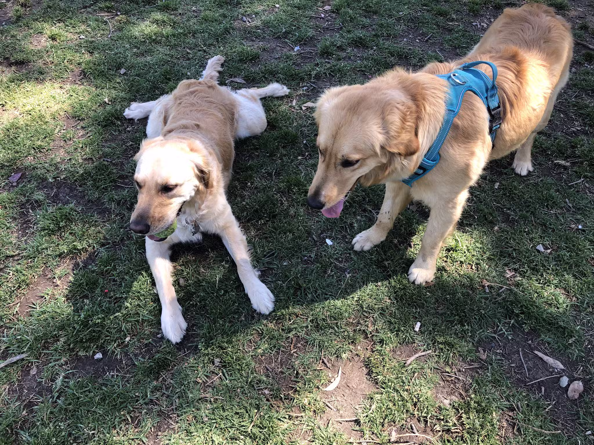 Carlson Park - Riverside, CA