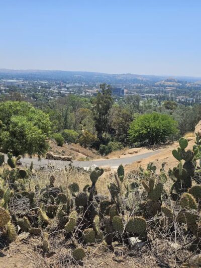 Carlson Park - Riverside, CA