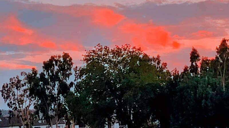 Highland Park - Riverside, CA