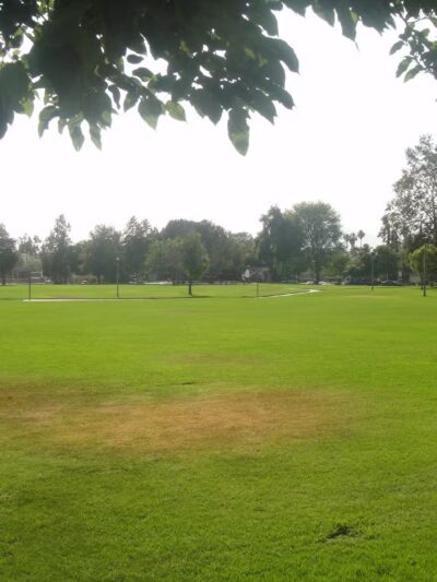 Highland Park - Riverside, CA