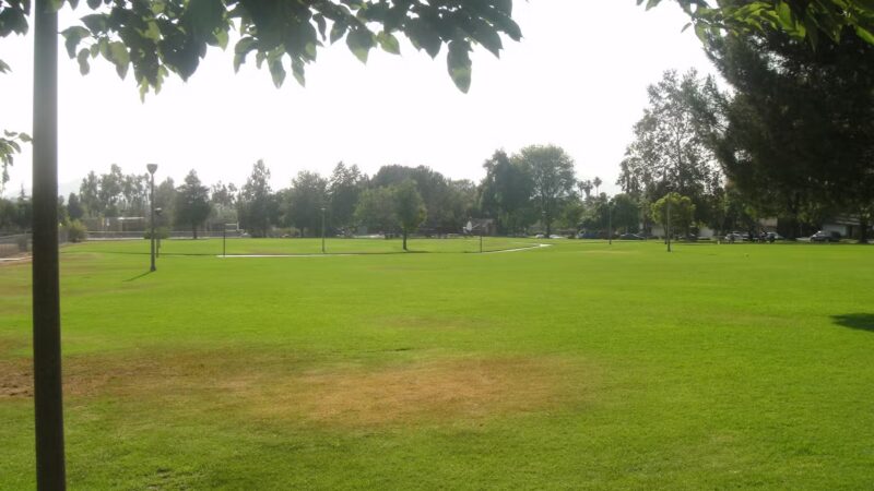 Highland Park - Riverside, CA