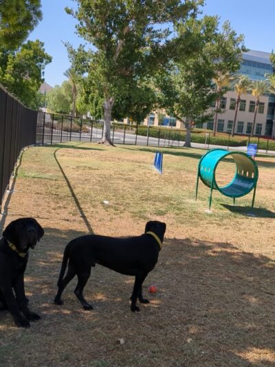 La Sierra Dog Park - Riverside, CA