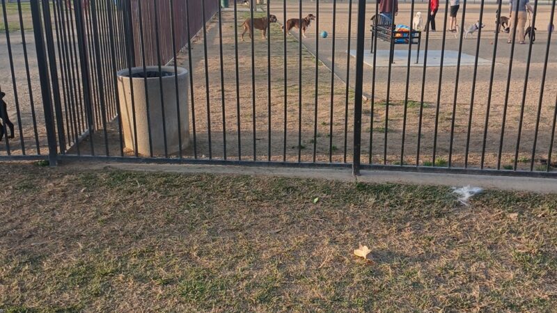 La Sierra Dog Park - Riverside, CA