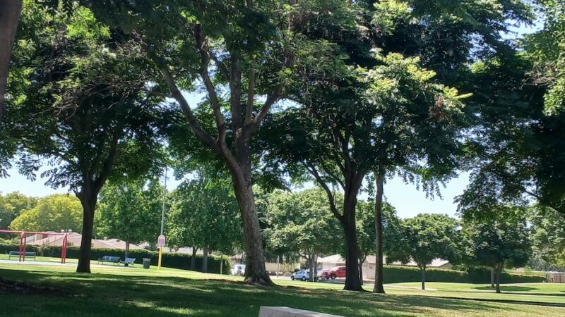 Mountain View Park - Riverside, CA