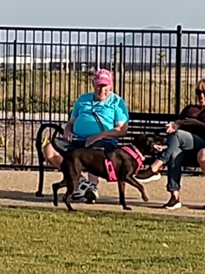 Orangecrest Dog Park - Riverside, CA