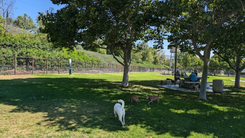 Pat Merritt Dog Park - Riverside, CA