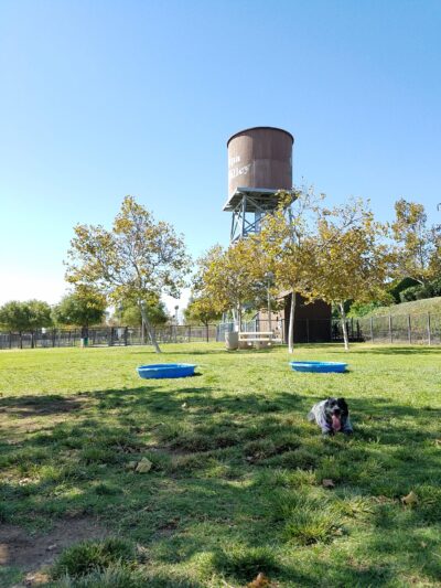 Pat Merritt Dog Park - Riverside, CA