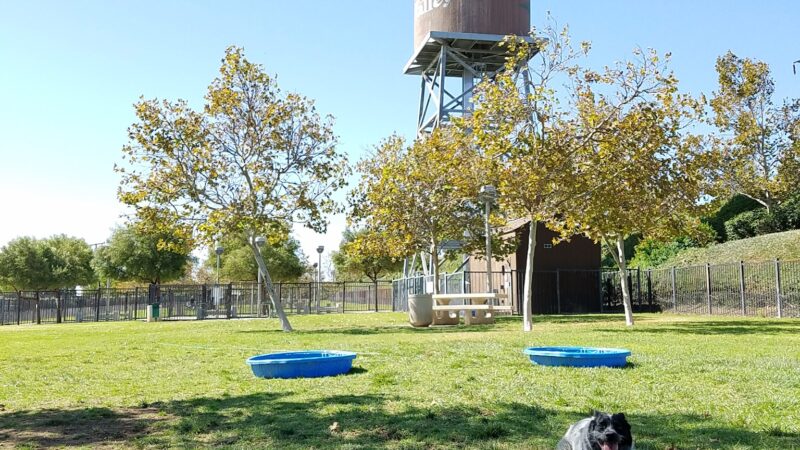 Pat Merritt Dog Park - Riverside, CA