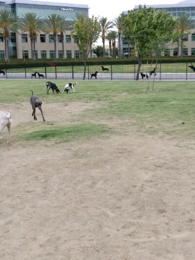 Riverwalk Dog Park - Riverside, CA