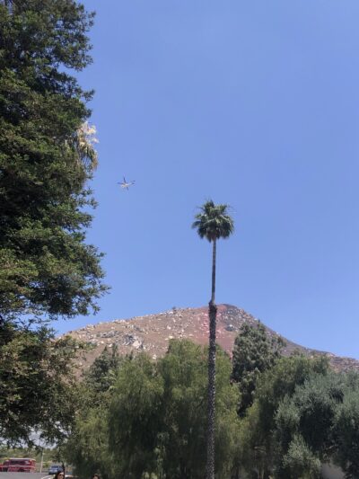 Spring Mountain Ranch Park - Riverside, CA