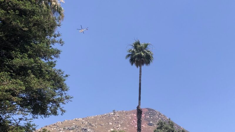 Spring Mountain Ranch Park - Riverside, CA