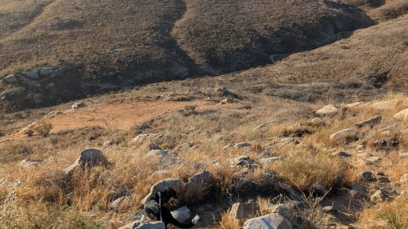 Sycamore Canyon Wilderness Park - Riverside, CA