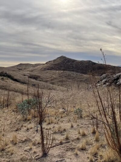 Sycamore Canyon Wilderness Park - Riverside, CA
