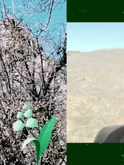 Sycamore Canyon Wilderness Park - Riverside, CA