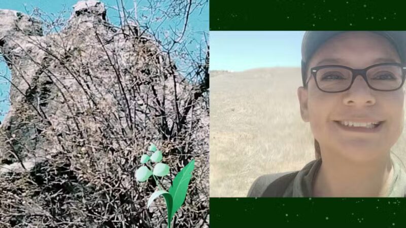 Sycamore Canyon Wilderness Park - Riverside, CA