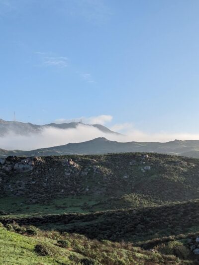 Sycamore Canyon Wilderness Park - Riverside, CA