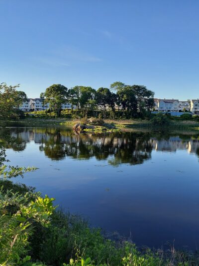 Eastbay Bikepath Access Point - Riverside, RI