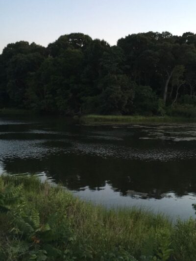 Playground - Riverside, RI