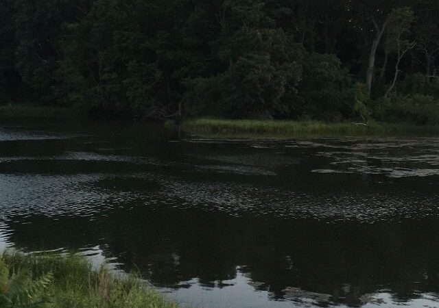 Playground - Riverside, RI