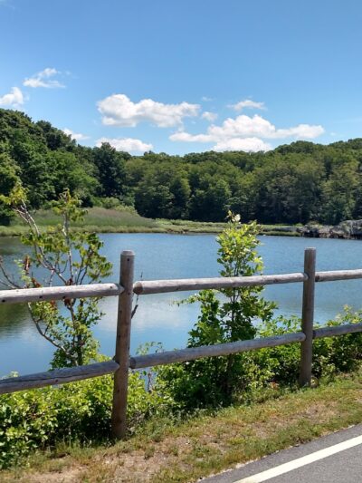 Squantum Woods Park - Riverside, RI