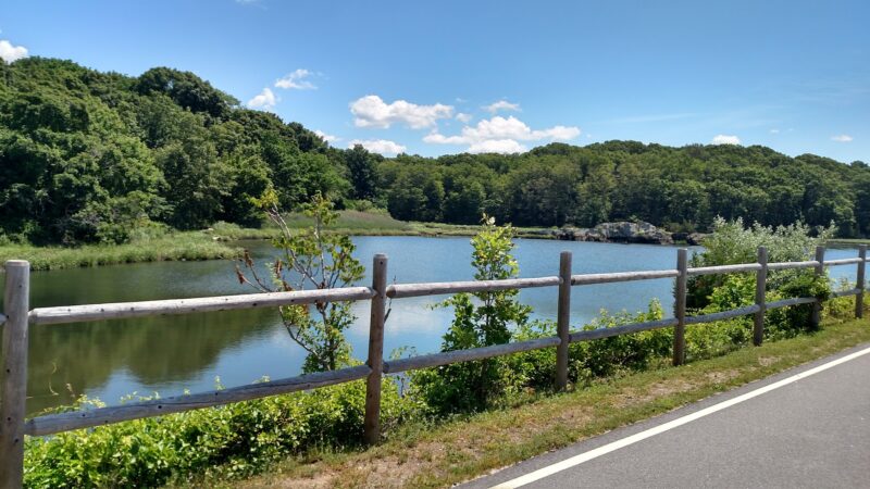 Squantum Woods Park - Riverside, RI