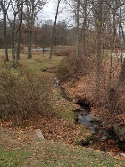 Squantum Woods Park - Riverside, RI