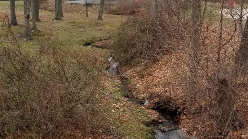 Squantum Woods Park - Riverside, RI