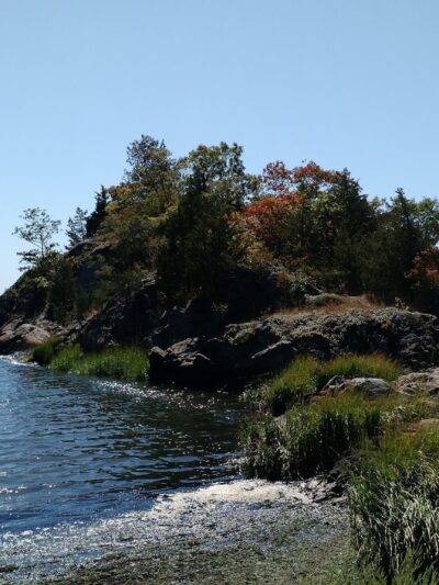 Squantum Woods Park - Riverside, RI