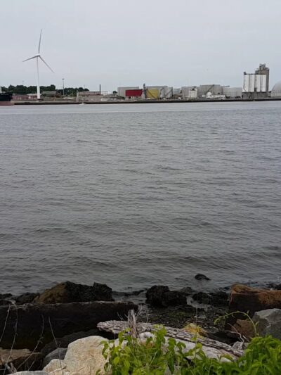 Squantum Woods Park - Riverside, RI