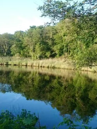 Squantum Woods Park - Riverside, RI