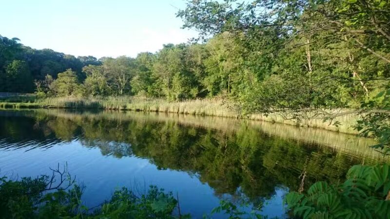 Squantum Woods Park - Riverside, RI
