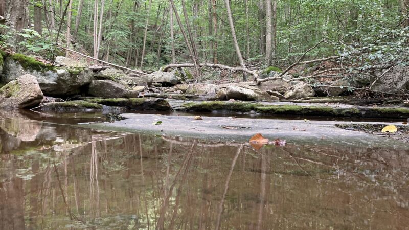 Miners Run - Roaring Branch, PA