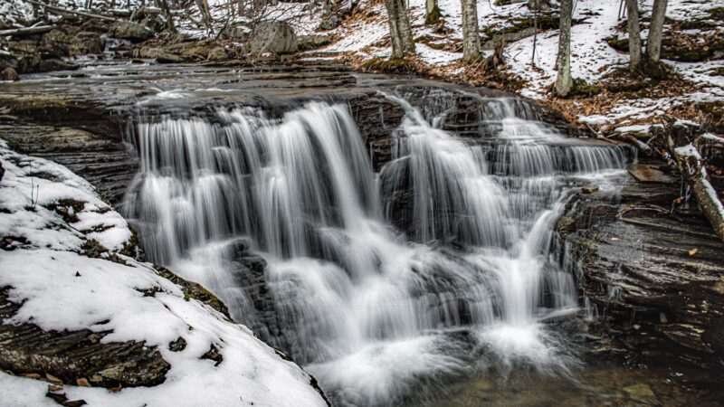 Miners Run - Roaring Branch, PA