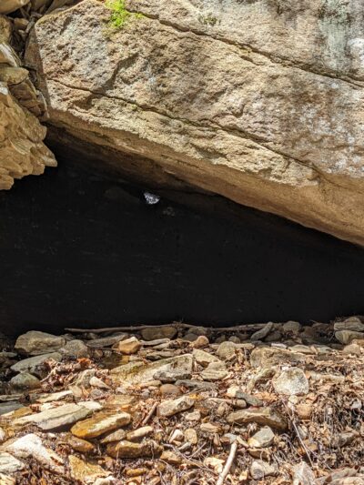 Miners Run - Roaring Branch, PA