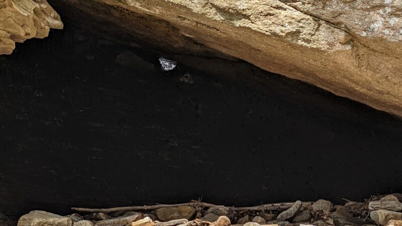 Miners Run - Roaring Branch, PA