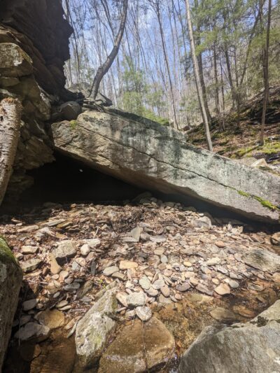 Miners Run - Roaring Branch, PA