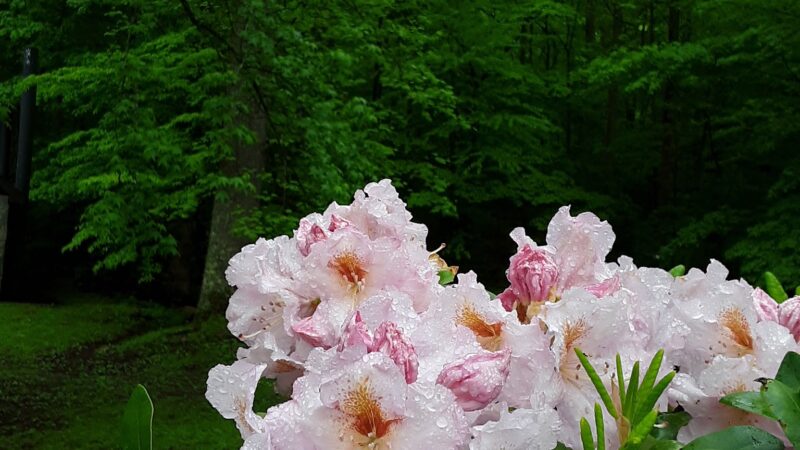 Cheoah Point Campground - Robbinsville, NC