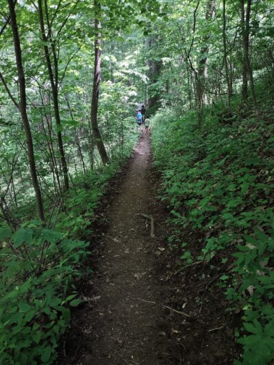 Appalachian Trail - Robbinsville, NC