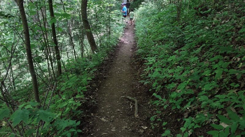Appalachian Trail - Robbinsville, NC