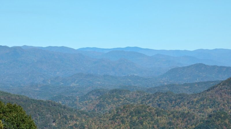 Appalachian Trail - Robbinsville, NC