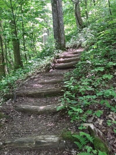 Appalachian Trail - Robbinsville, NC
