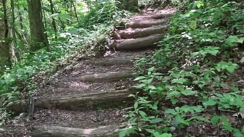 Appalachian Trail - Robbinsville, NC