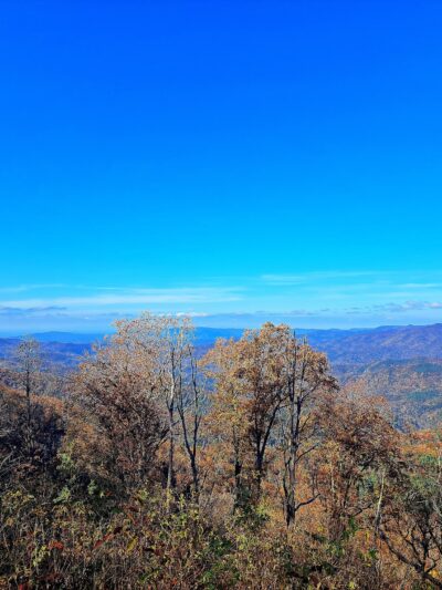Maple Springs Observation Deck, Nantahala National Forest, Cheoah Ranger District - Robbinsville, NC