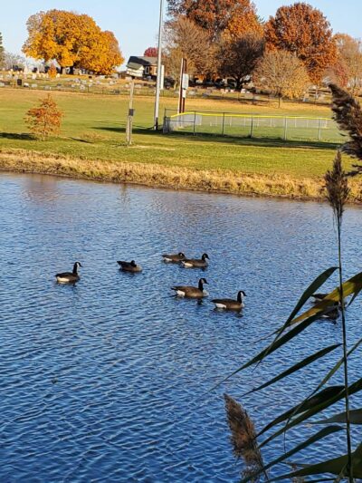 Rochester Community Park - Rochester, IL