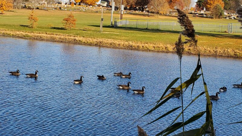 Rochester Community Park - Rochester, IL