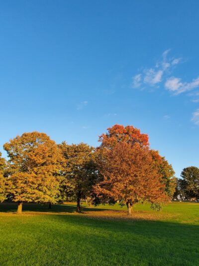 Rochester Community Park - Rochester, IL