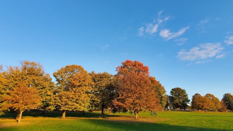 Rochester Community Park - Rochester, IL
